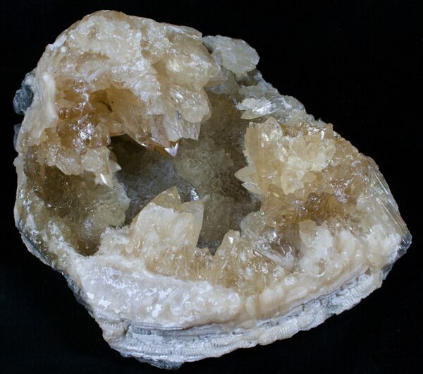 Un geode pieno di cristalli di calcite che è iniziato come una vongola fossilizzata. Da Ruck's Pit in Florida.'s Pit in Florida.